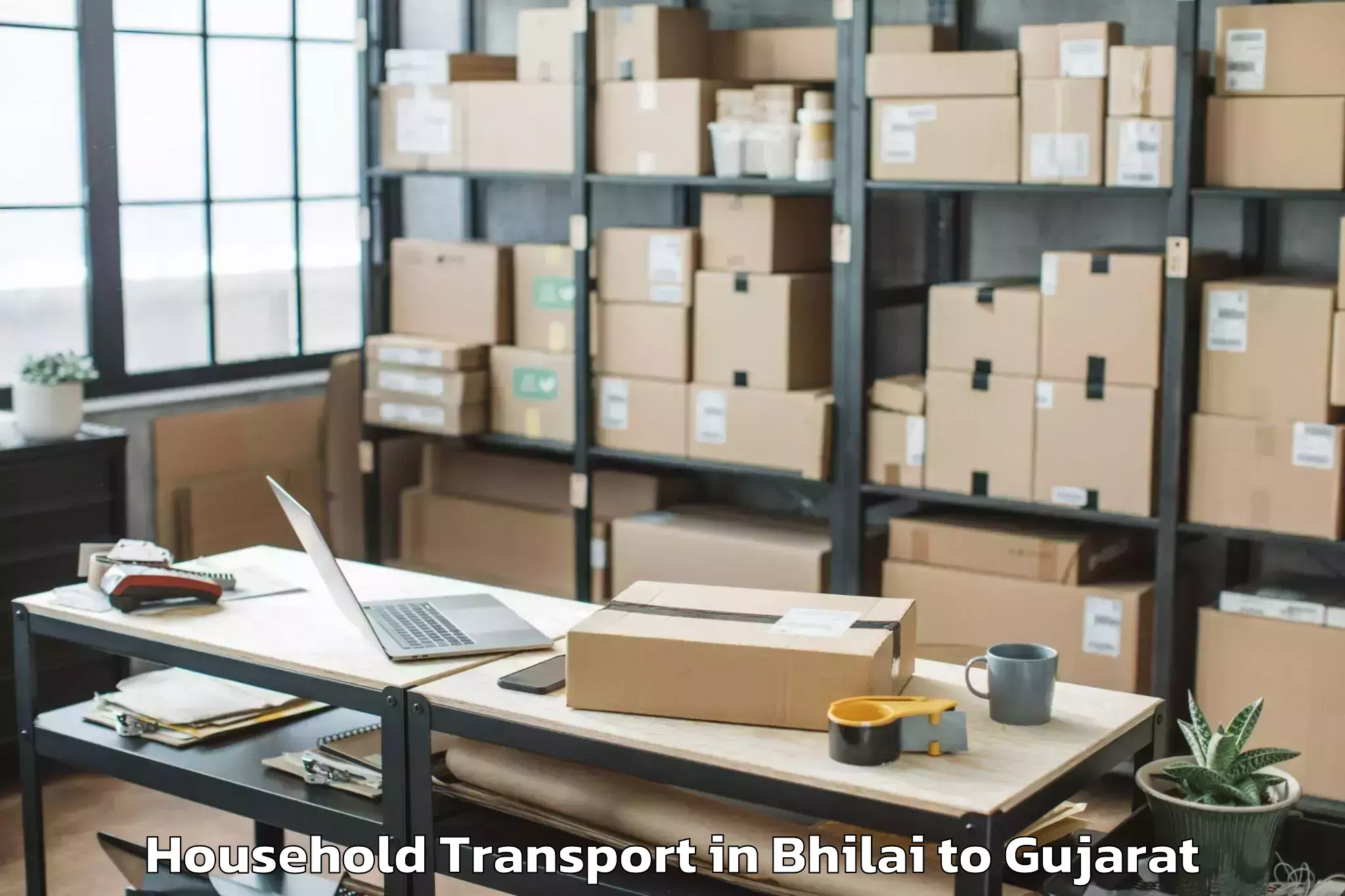 Professional Bhilai to Gandevi Household Transport